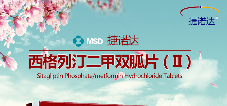 捷诺达-西格列汀二甲双胍片II_01_01.jpg